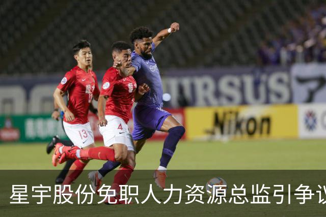 星宇股份免职人力资源总监引争议，被免职者已离任且岗位查无此人